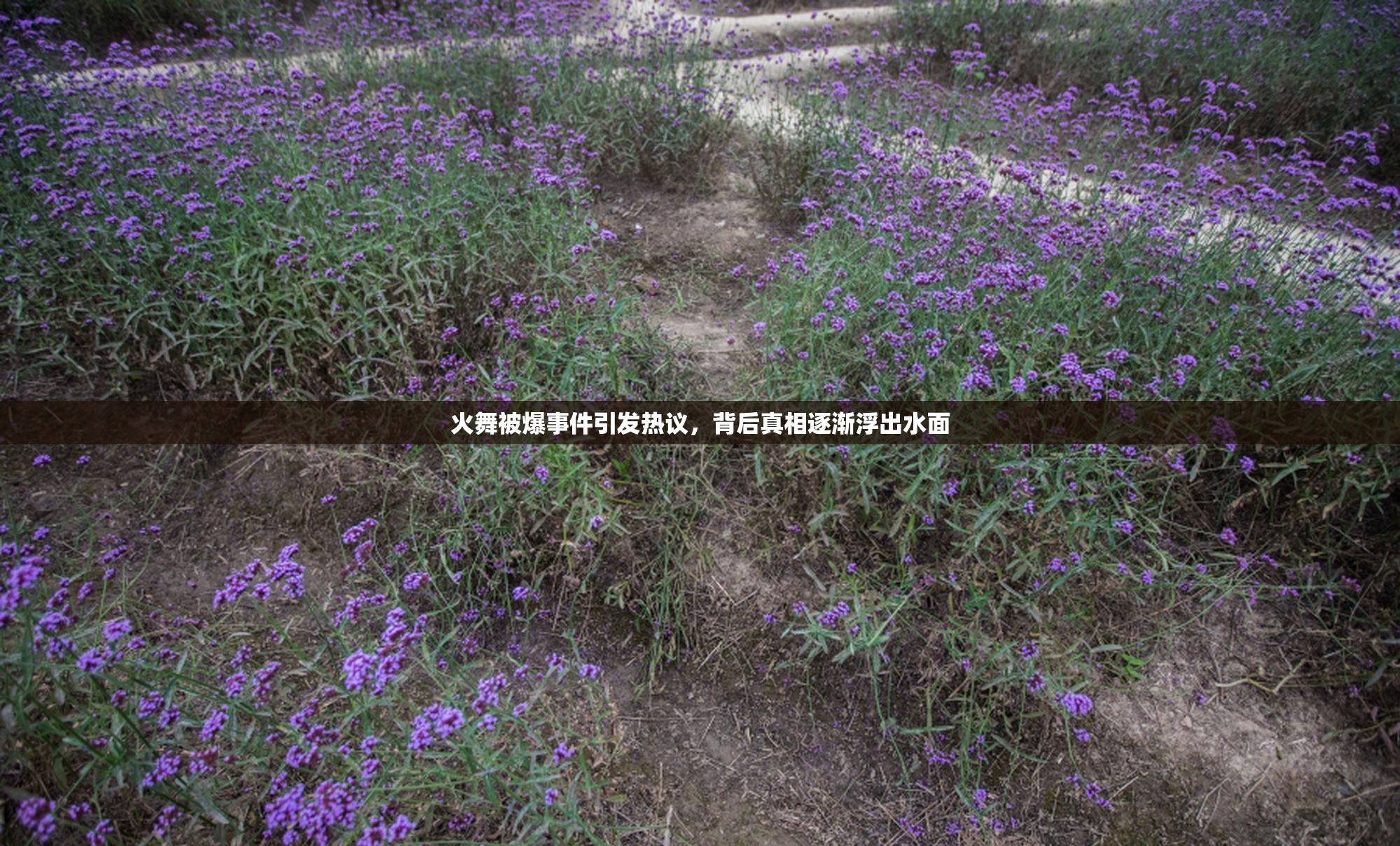 火舞被爆事件引发热议，背后真相逐渐浮出水面