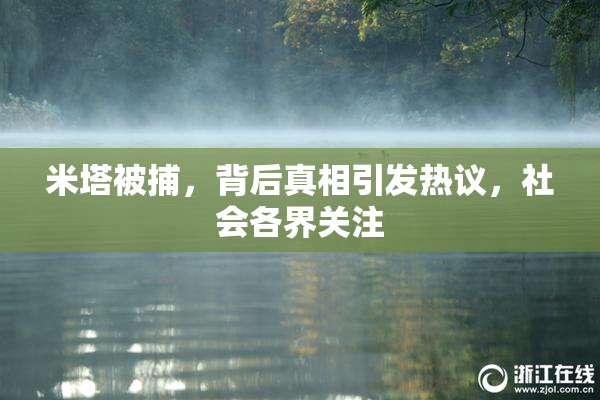 米塔被捕，背后真相引发热议，社会各界关注