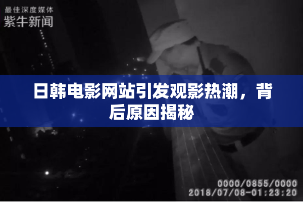 日韩电影网站引发观影热潮，背后原因揭秘