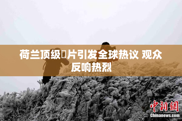 荷兰顶级婬片引发全球热议 观众反响热烈