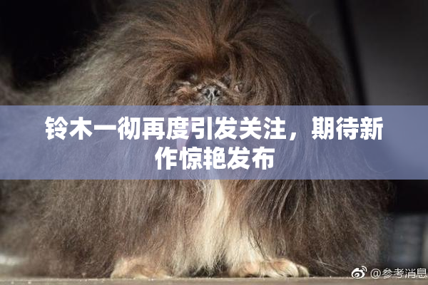 铃木一彻再度引发关注，期待新作惊艳发布