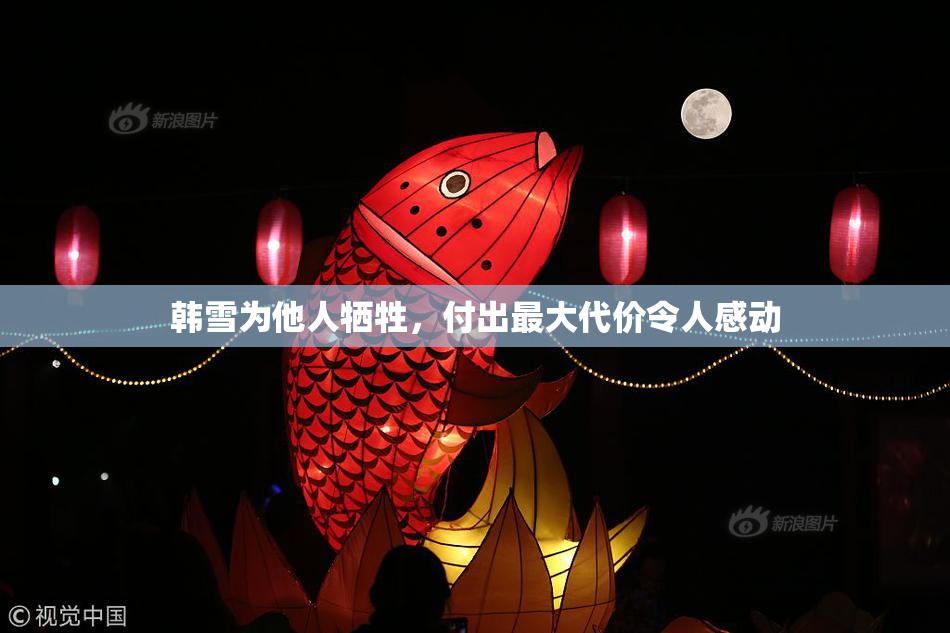 韩雪为他人牺牲，付出最大代价令人感动