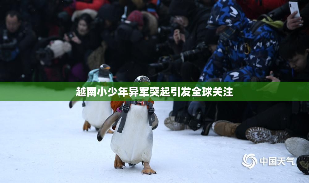 越南小少年异军突起引发全球关注
