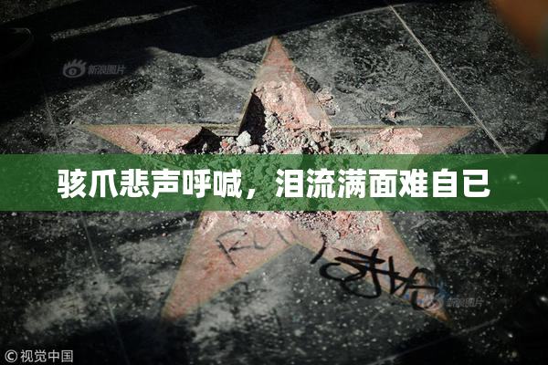 骇爪悲声呼喊，泪流满面难自已