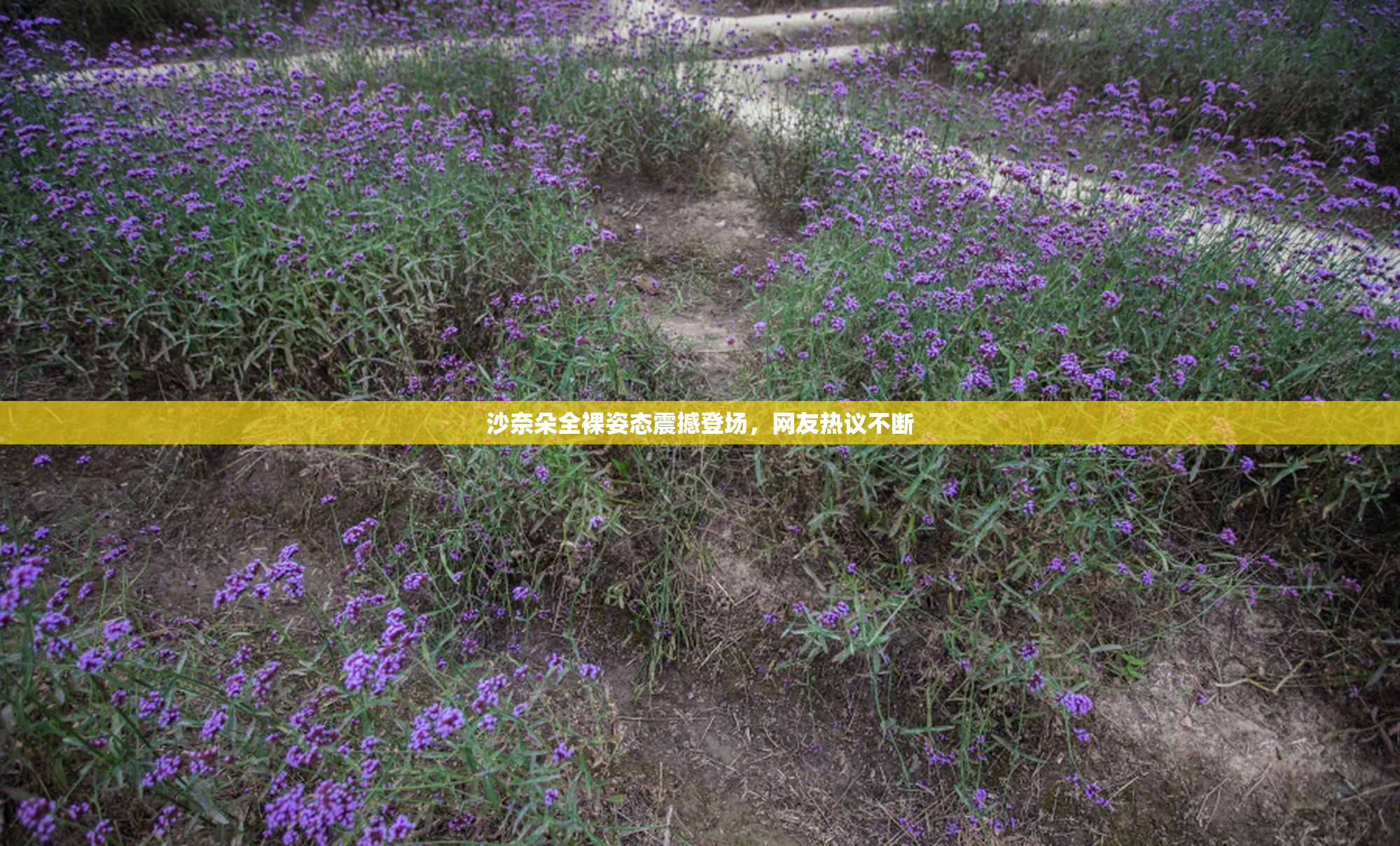 沙奈朵全裸姿态震撼登场，网友热议不断