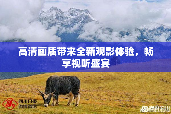 高清画质带来全新观影体验，畅享视听盛宴