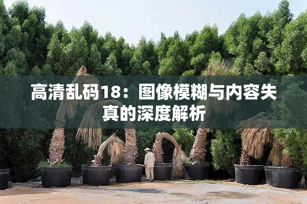 高清乱码18：图像模糊与内容失真的深度解析
