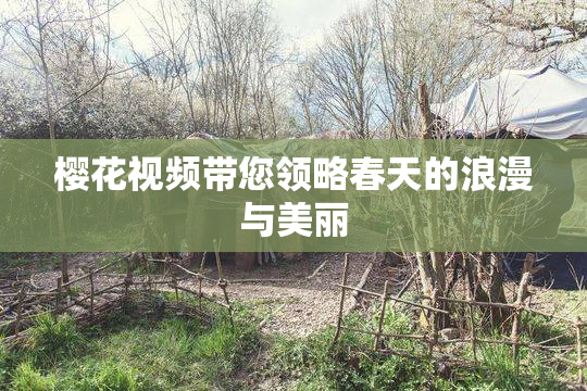 樱花视频带您领略春天的浪漫与美丽
