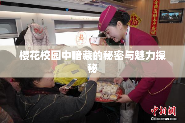 樱花校园中暗藏的秘密与魅力探秘