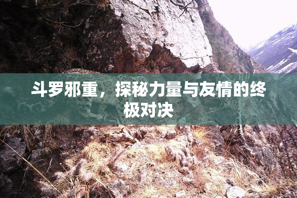 斗罗邪重，探秘力量与友情的终极对决