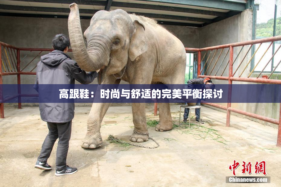 高跟鞋：时尚与舒适的完美平衡探讨