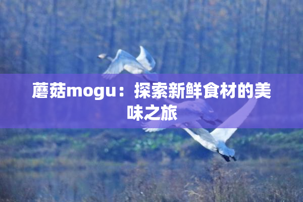 蘑菇mogu：探索新鲜食材的美味之旅