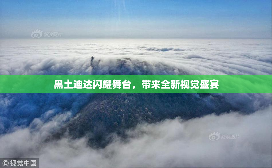 黑土迪达闪耀舞台，带来全新视觉盛宴