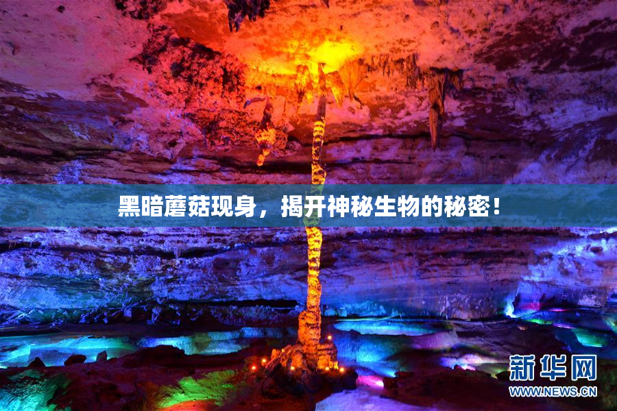 黑暗蘑菇现身，揭开神秘生物的秘密！