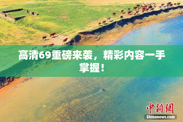 高清69重磅来袭，精彩内容一手掌握！