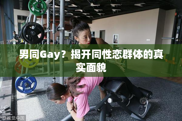 男同Gay？揭开同性恋群体的真实面貌