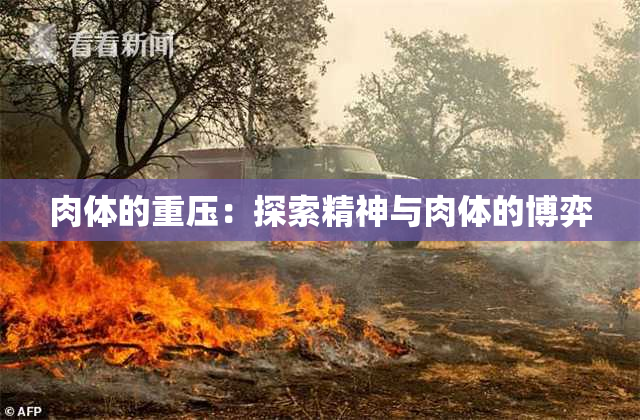 肉体的重压：探索精神与肉体的博弈