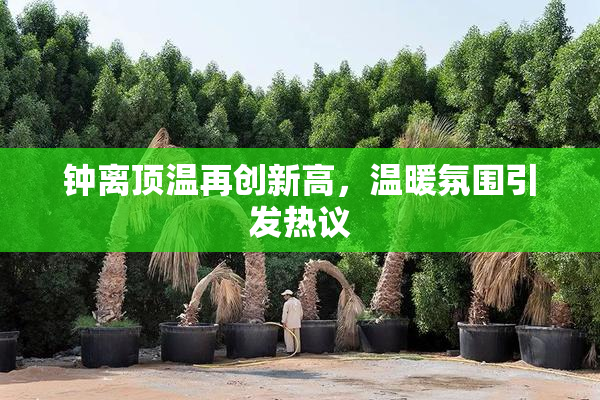 钟离顶温再创新高，温暖氛围引发热议
