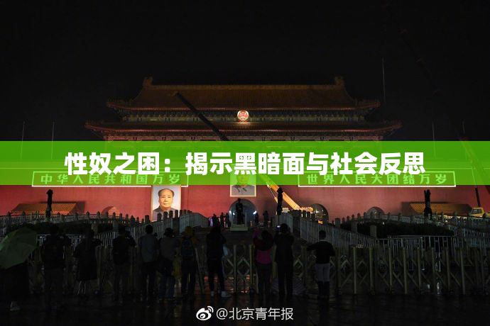 性奴之困：揭示黑暗面与社会反思