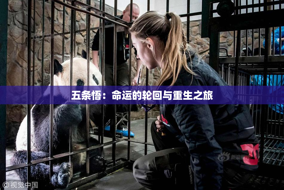 五条悟：命运的轮回与重生之旅