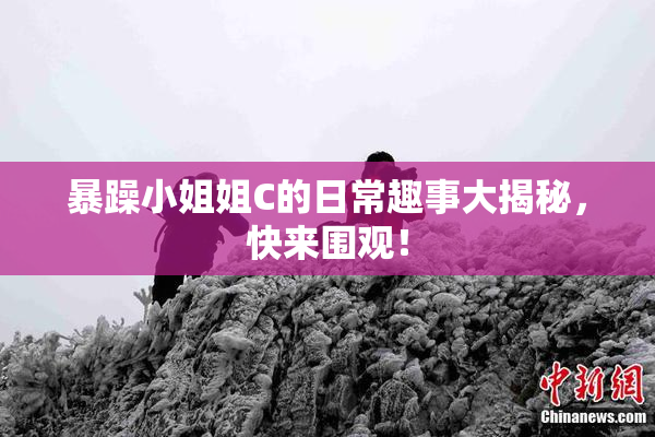暴躁小姐姐C的日常趣事大揭秘，快来围观！