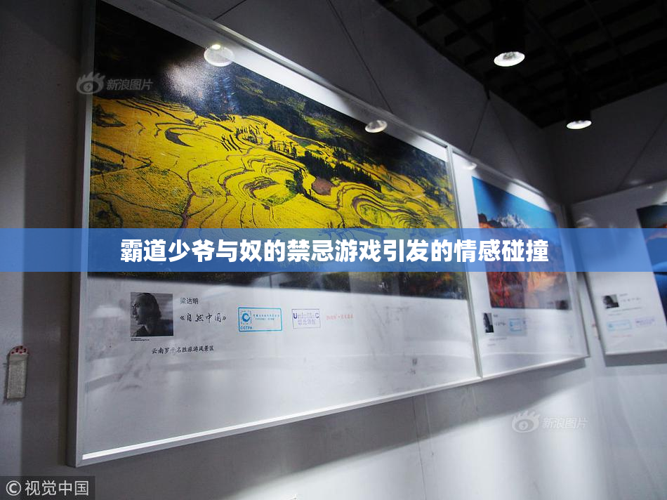 霸道少爷与奴的禁忌游戏引发的情感碰撞