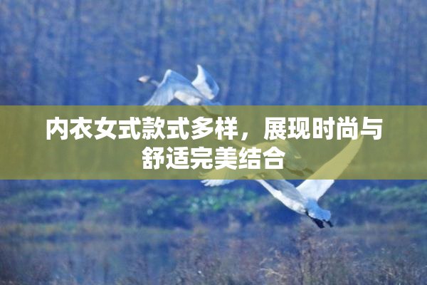 内衣女式款式多样，展现时尚与舒适完美结合