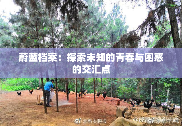 蔚蓝档案：探索未知的青春与困惑的交汇点