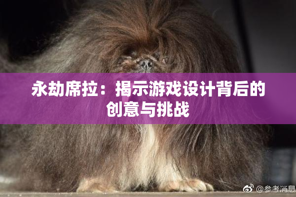 永劫席拉：揭示游戏设计背后的创意与挑战