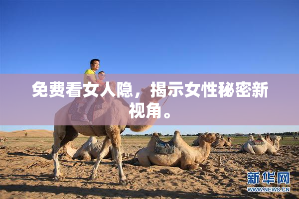 免费看女人隐，揭示女性秘密新视角。