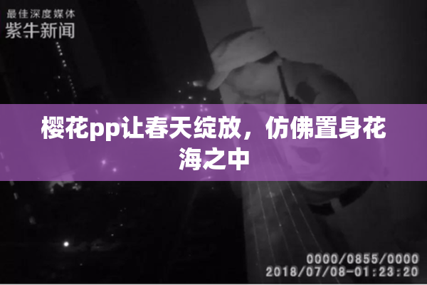 樱花pp让春天绽放，仿佛置身花海之中