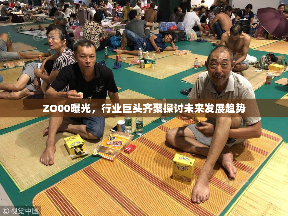 ZO00曝光，行业巨头齐聚探讨未来发展趋势