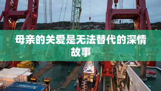 母亲的关爱是无法替代的深情故事