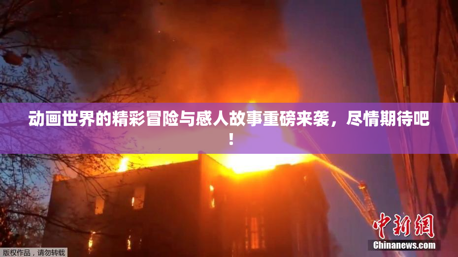 动画世界的精彩冒险与感人故事重磅来袭，尽情期待吧！