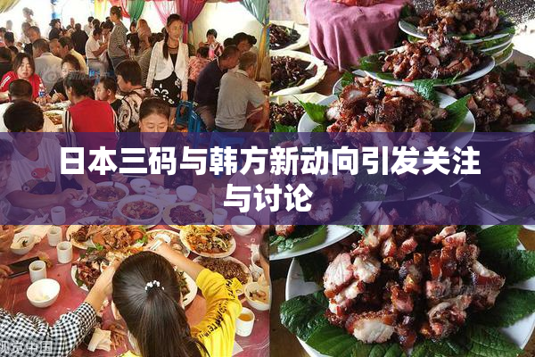 日本三码与韩方新动向引发关注与讨论