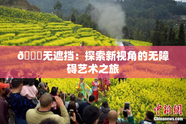 🔞无遮挡：探索新视角的无障碍艺术之旅