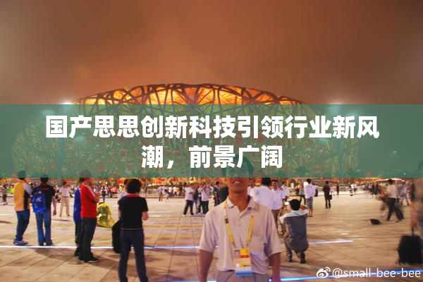 国产思思创新科技引领行业新风潮，前景广阔