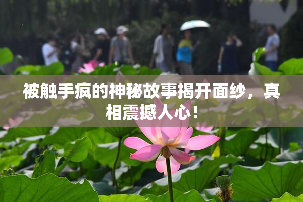 被触手疯的神秘故事揭开面纱，真相震撼人心！