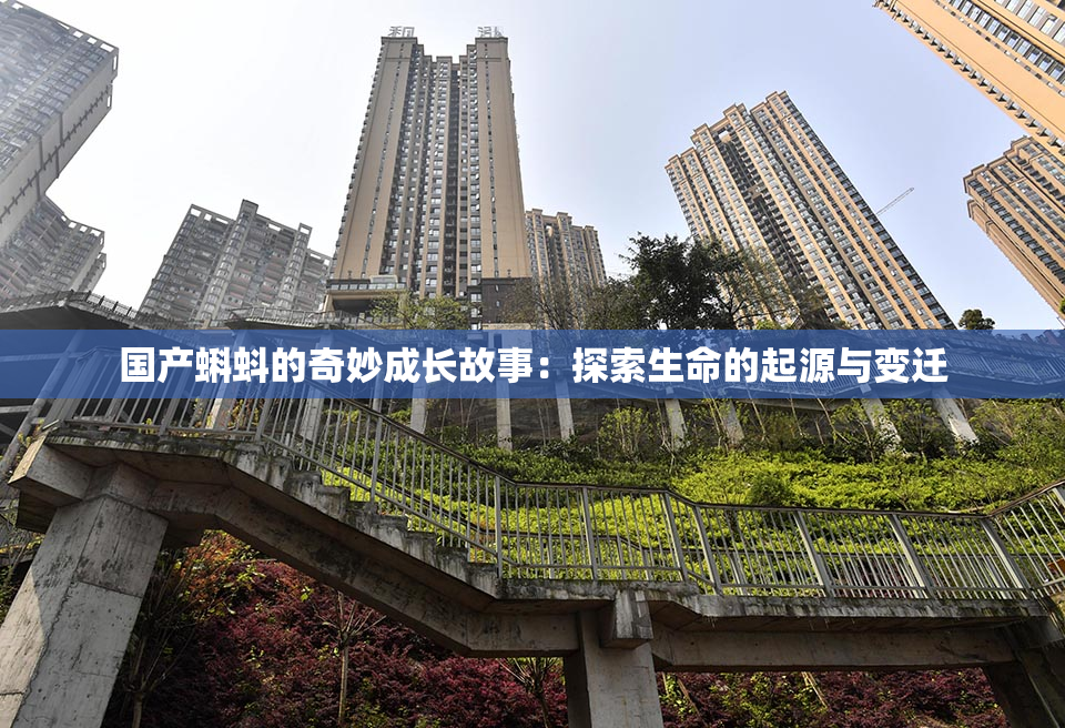 国产蝌蚪的奇妙成长故事：探索生命的起源与变迁