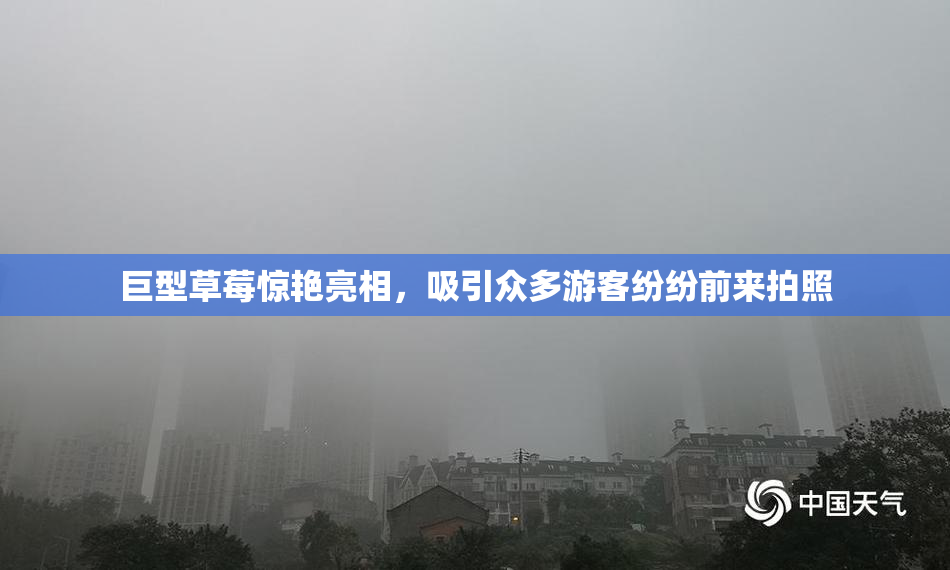 巨型草莓惊艳亮相，吸引众多游客纷纷前来拍照