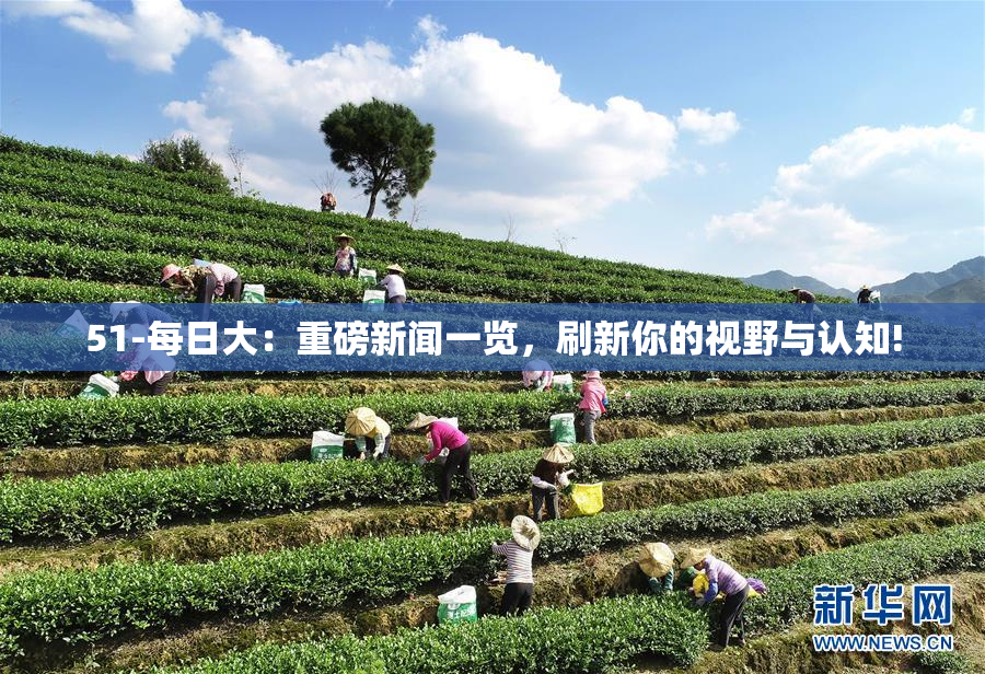 51-每日大：重磅新闻一览，刷新你的视野与认知!