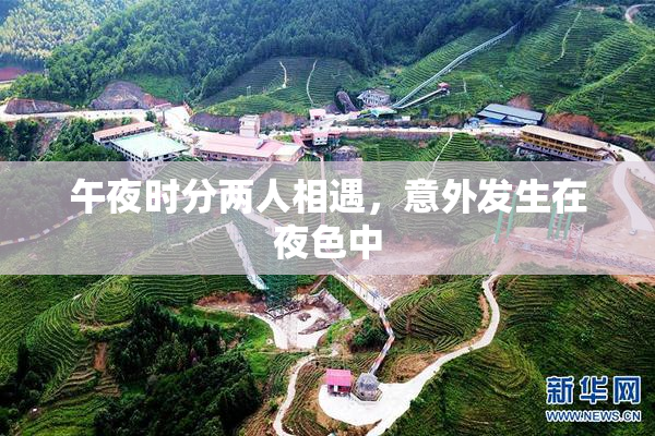 午夜时分两人相遇，意外发生在夜色中