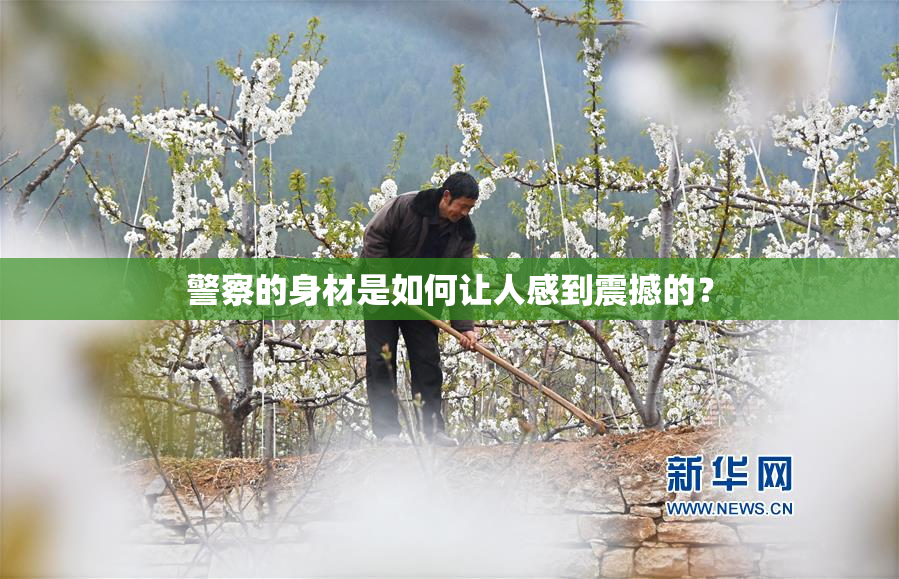 警察的身材是如何让人感到震撼的？