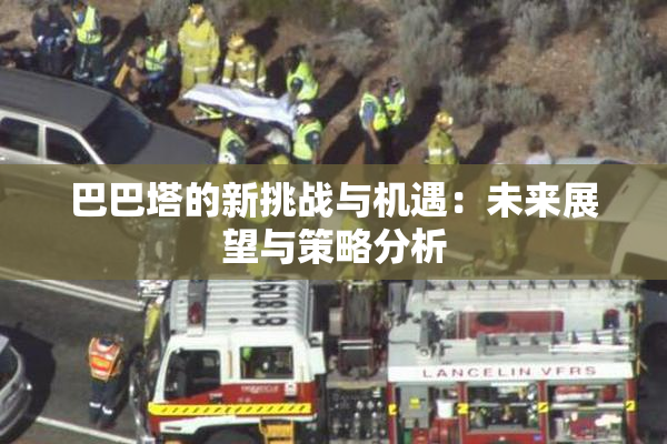 巴巴塔的新挑战与机遇：未来展望与策略分析