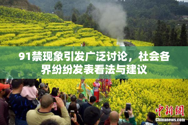 91禁现象引发广泛讨论，社会各界纷纷发表看法与建议