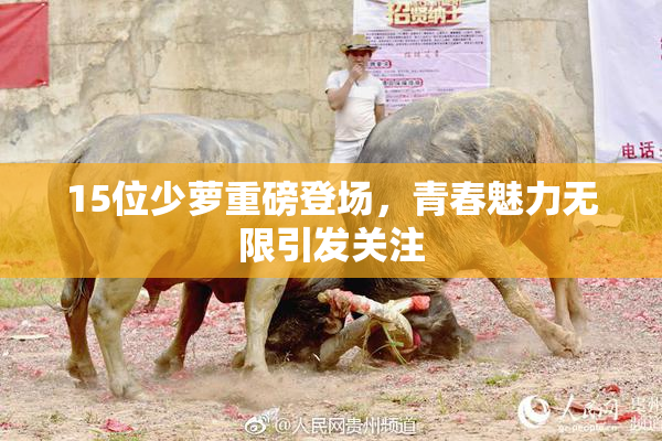 15位少萝重磅登场，青春魅力无限引发关注