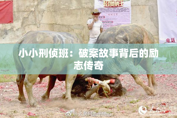小小刑侦班：破案故事背后的励志传奇