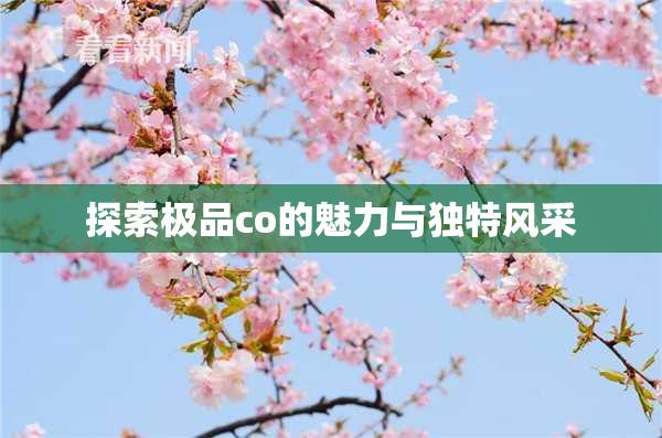探索极品co的魅力与独特风采