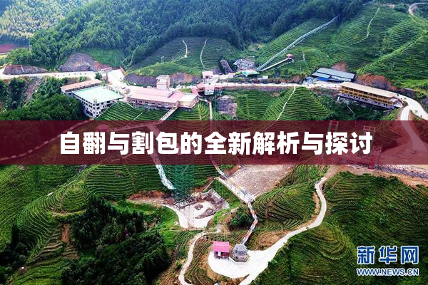自翻与割包的全新解析与探讨