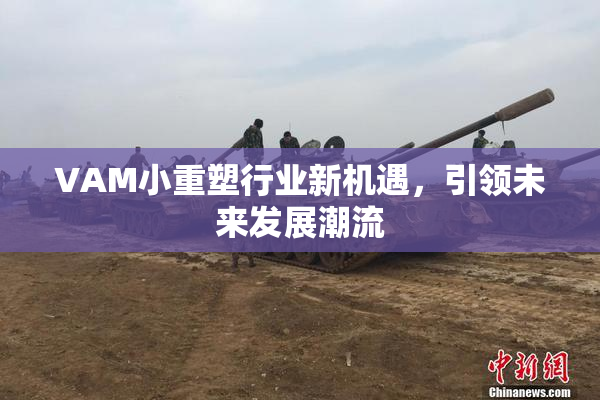 VAM小重塑行业新机遇，引领未来发展潮流